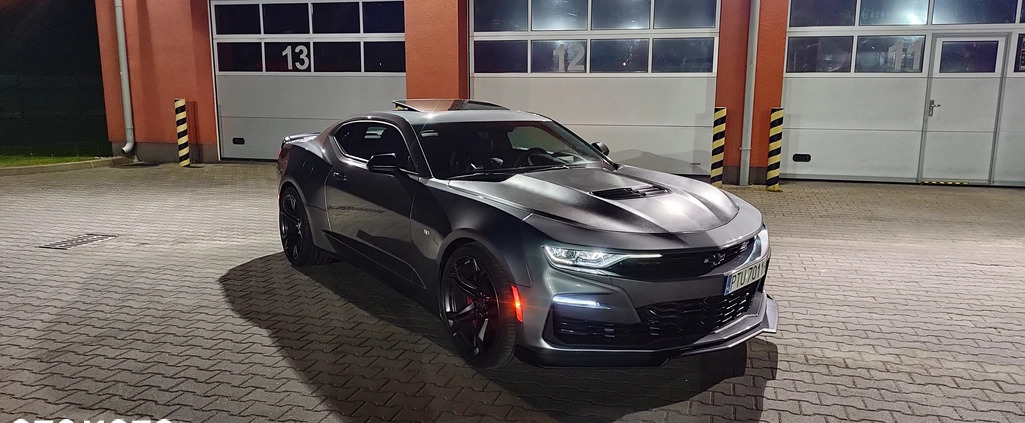 Chevrolet Camaro cena 185000 przebieg: 22700, rok produkcji 2021 z Turek małe 56